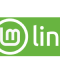 How to Install Linux Mint on Btrfs